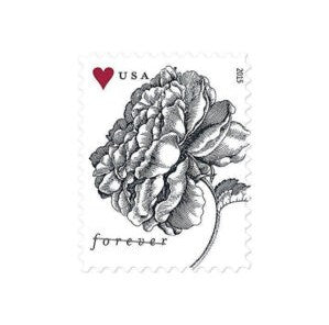 Wedding Stamps Cost the Same. The Surcharge Is What Gets You.