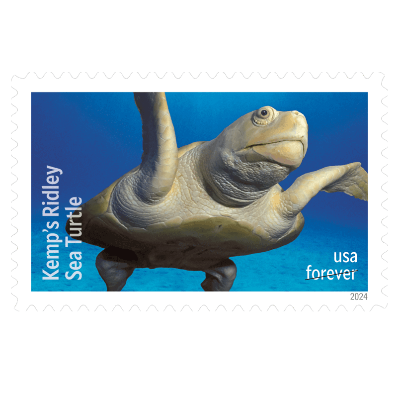 Protect Sea Turtles 2024 Forever Stamps — Kemp's Ridley and Five More, First-Class Postage