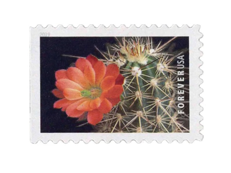 Cactus Flowers 2019 Forever Stamps — Ten Blooms, Double-Sided Booklet of 20