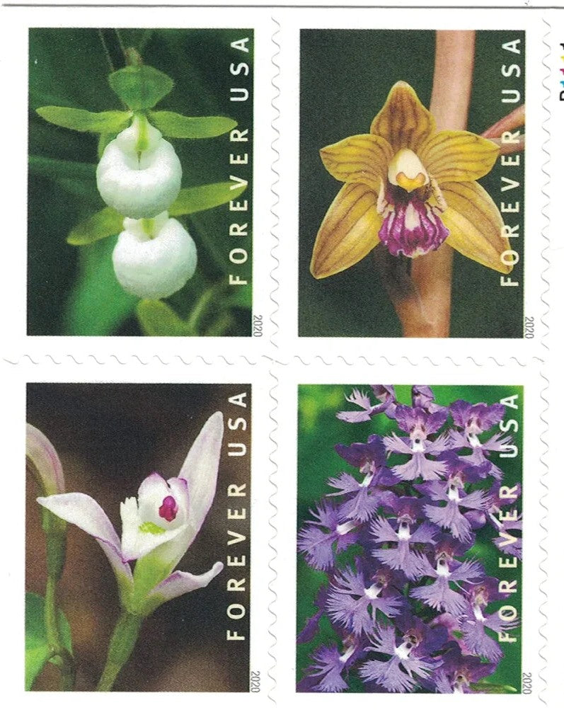 Wild Orchids 2020 Forever Stamps — Ten Native Species, Double-Sided Booklet of 20