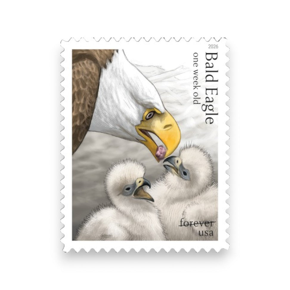 Bald Eagle 2026 Forever Stamps — Hatchling to Adult, Pane of 20