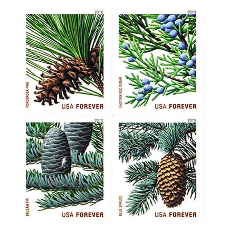 Holiday Evergreens 2010 Forever Stamps — Ponderosa Pine and Others, Booklet Issue