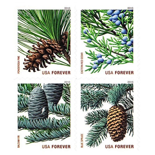 Holiday Evergreens 2010 Forever Stamps — Ponderosa Pine and Others, Booklet Issue