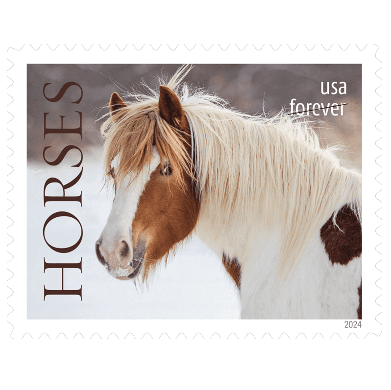 Horses 2024 Forever Stamps — Nature Series Pane of Five, First-Class Postage