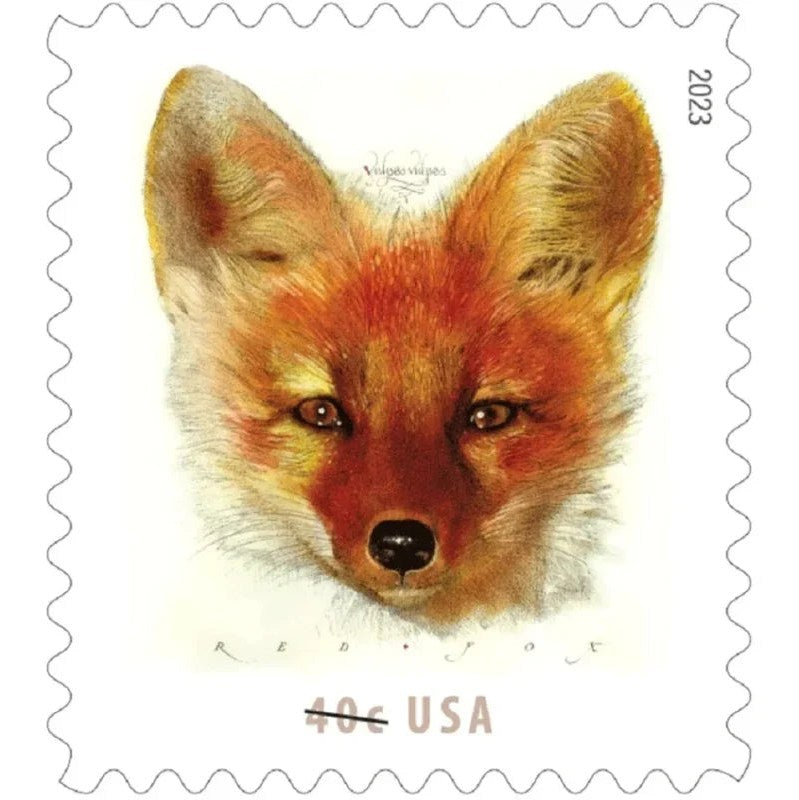 Red Fox 2023 40¢ Stamps — Wildlife Series, Bulk Mail Rate (Not a Forever Stamp)