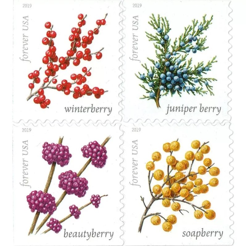 Winter Berries 2019 Forever Stamps — Four Species, Double-Sided Booklet of 20