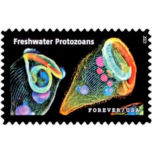 Life Magnified 2023 Forever Stamps — Microscopy Images, Panes of 20