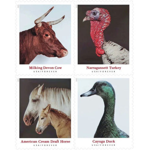 Heritage Breeds 2021 Forever Stamps — Milking Devon and More, Panes of 20