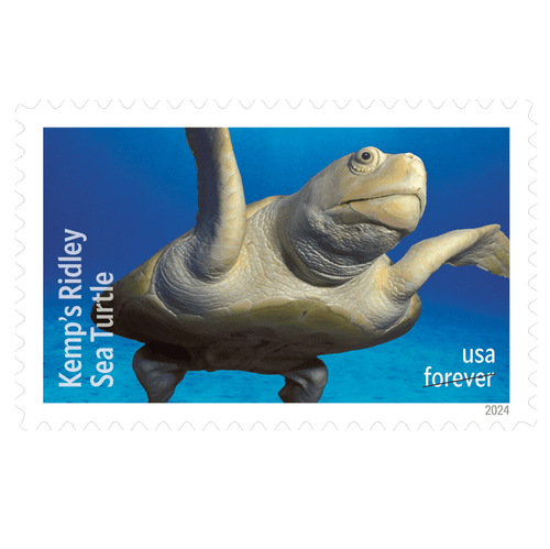 Protect Sea Turtles 2024 Forever Stamps — Kemp's Ridley and Five More, First-Class Postage