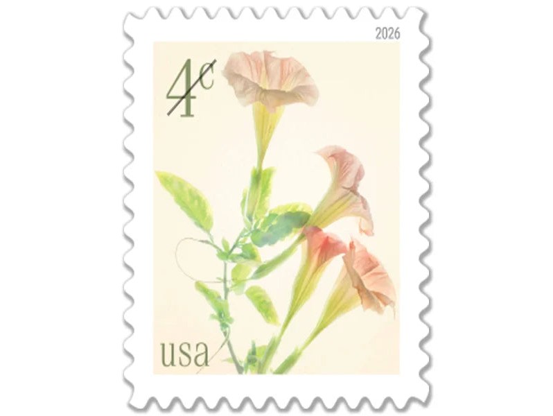 2026 Angel's Trumpets 4¢ Stamps — Nature Series (Not a Forever Stamp)