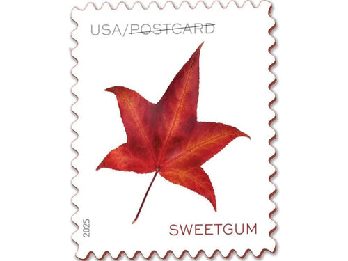 2025 Autumn Leaves Postcard Stamps — Vibrant Leaves Pane, Postcard Rate
