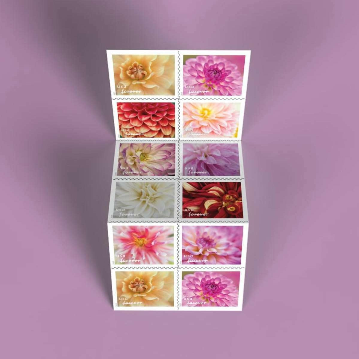 Dahlias stamps, detail