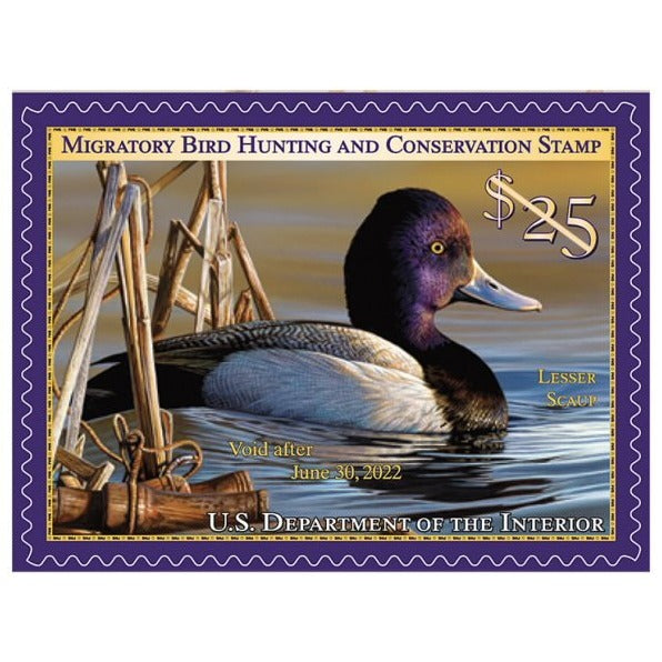 2021-2022 Federal Duck Stamp, Migratory Bird Stamp