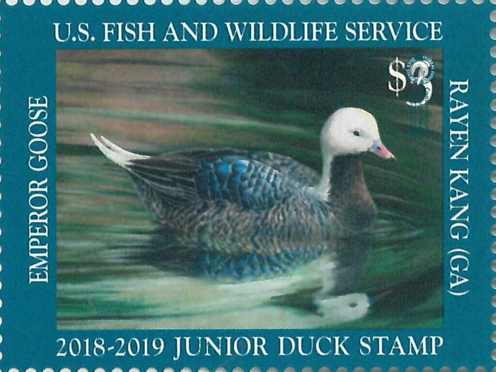 $5 Junior Duck Emperor Goose Stamp 2018-2019