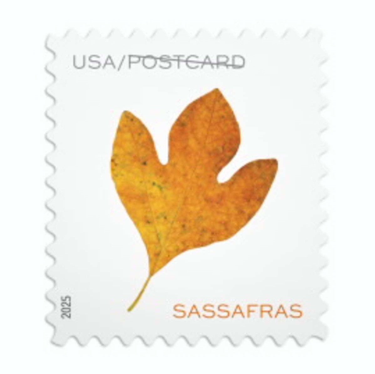 Vibrant Leaves postcard stamps