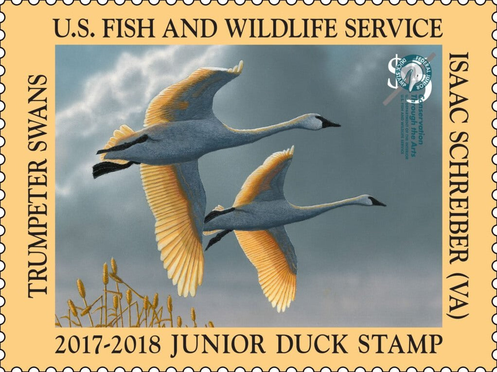 $5 Junior Duck Trumpeter Swans Stamp 2017-2018