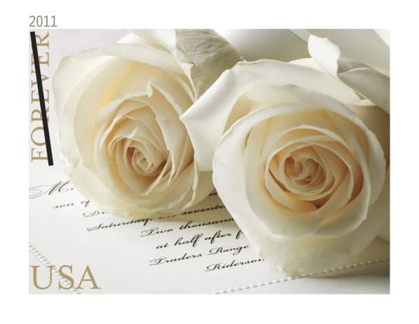 White Wedding Roses Forever Stamps