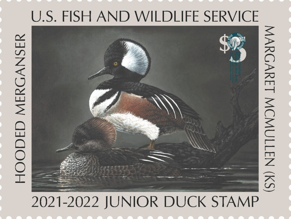 2021-2022 Junior Duck Stamp