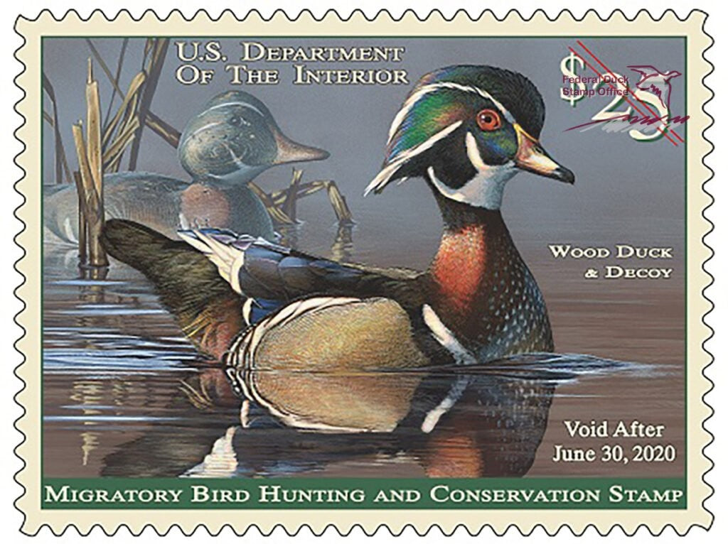 2019-2020 Wood Duck and Decoy Federal Duck Stamp