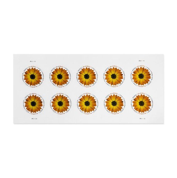 Global African Daisy Stamps