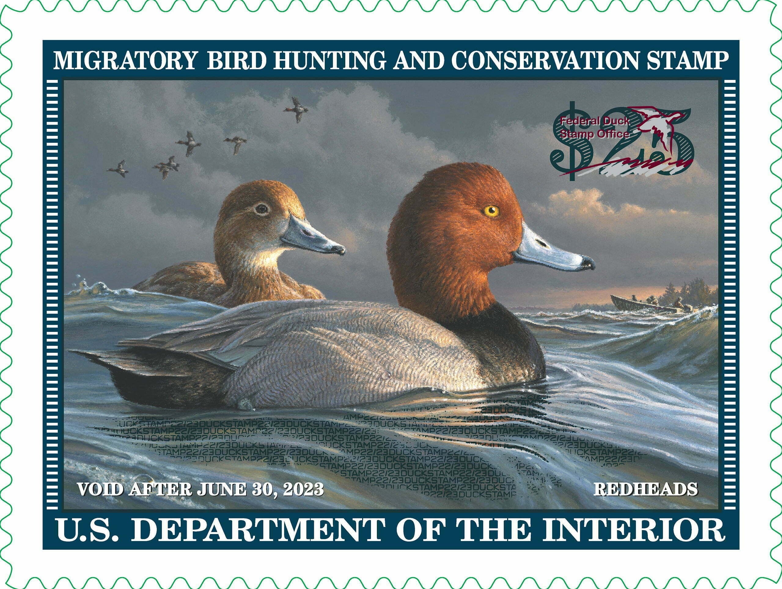2022-2023 Federal Duck Stamp by James Hautman