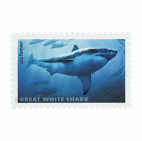 Sharks Stamps