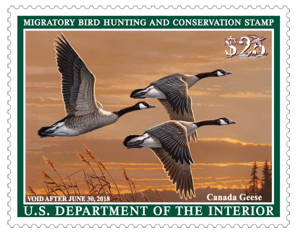 $25 Canada Geese Federal Duck Stamp 2017-2018