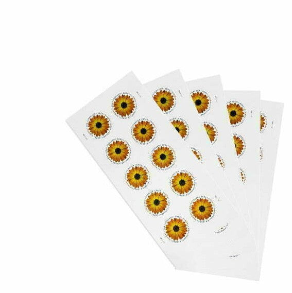 Global African Daisy Stamps