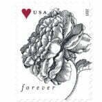 Engraved Vintage Rose Forever Stamp