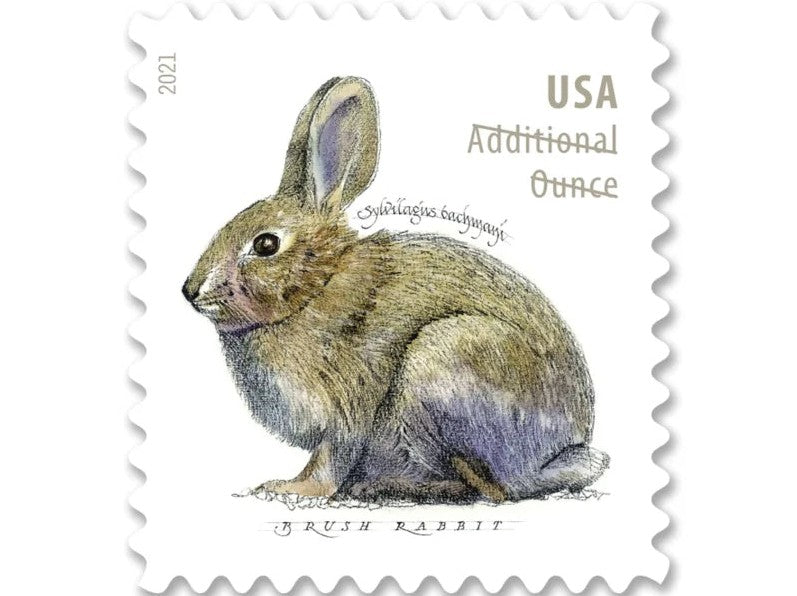 Brush Rabbit 2021 Additional Ounce Stamps — Nature Series (Not a Forever Stamp)