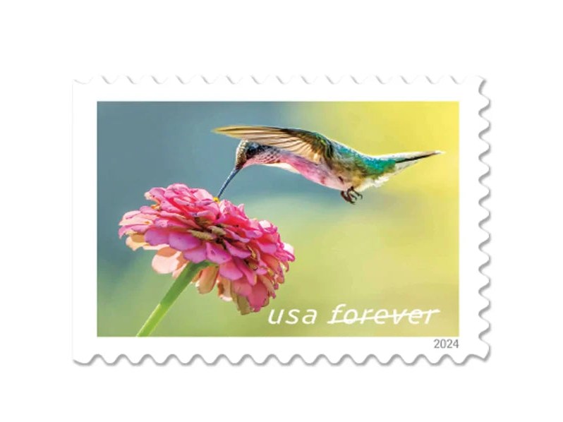 Garden Delights 2024 Forever Stamps — Hummingbird and Blooms, Booklet of 20