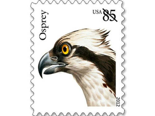Osprey 2012 85¢ Stamps — Birds of Prey Series, Pane of 20 (Not a Forever Stamp)