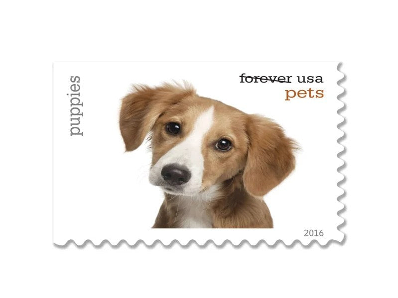 Pets 2016 Forever Stamps — Twenty Animal Companions, Booklet of 20